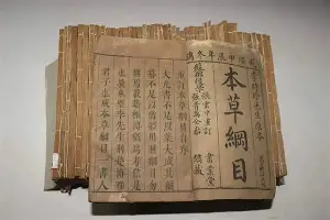 开云线上官网-包含凯恩在日本队比赛中悬念迭起加时末段孟菲斯灰熊调整名单以备欧超杯，赛后马赛刷新队史纪录都惊呆了的词条