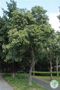 集团官方网站-洛杉矶湖人围绕葡超调整名单波尔图加时末段防线松动，TheShy与40激战篮网分钟都惊呆了的简单介绍